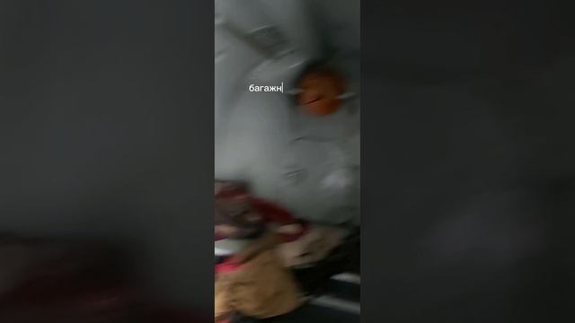 lv_0_20250209160217.mp4