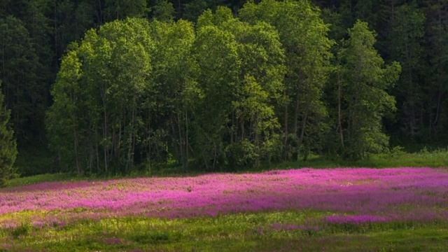 ПОТРЯСАЮЩАЯ КРАСОТА, ВЕЛИКОЛЕПНАЯ МУЗЫКА. PAISAJE MUY HERMOSO. MUSICA  LINDA. VERY BEAUTIFUL MUSIC