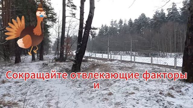 Короткие советы. Побалуйте себя