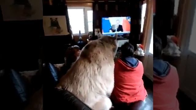 Russian family living and playing with a bear