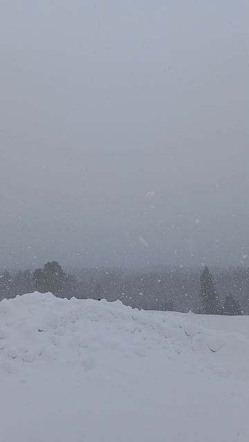 Нас опять замело