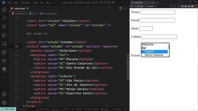 Frontend - HTML Básico - 0403 - Select múltiplo