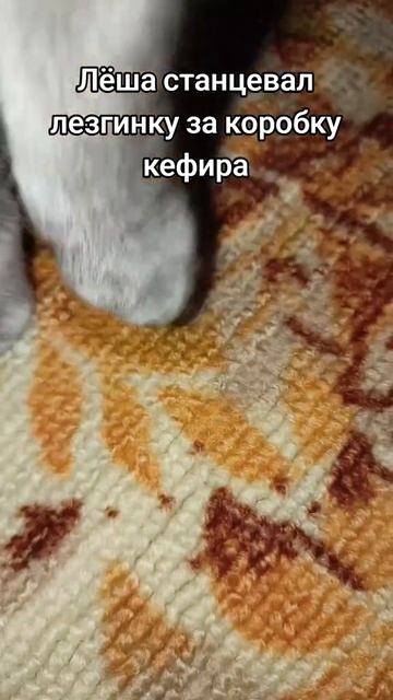 идёт 3 день как я нахожусь в лесу в заложниках у рекомендаций Tik toka