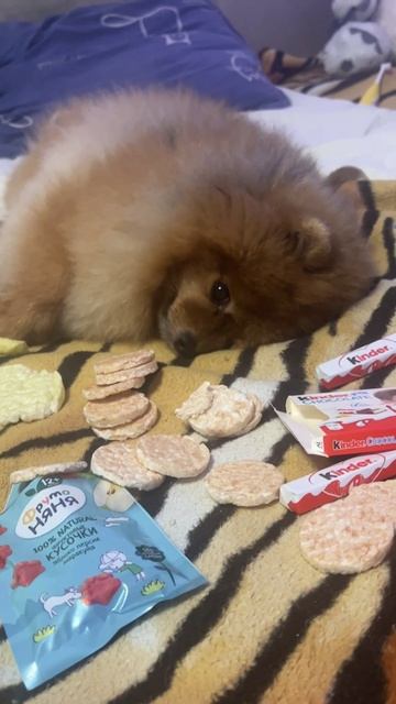 Рыжий Карлсон 🍼🍯🍭