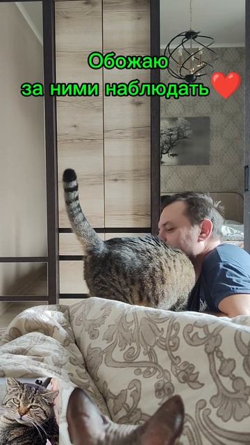 Мамуся и ее любовь