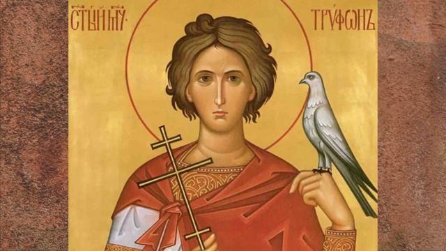 Житие святого мученика Трифона Апамейского († 250). Память 14 февраля