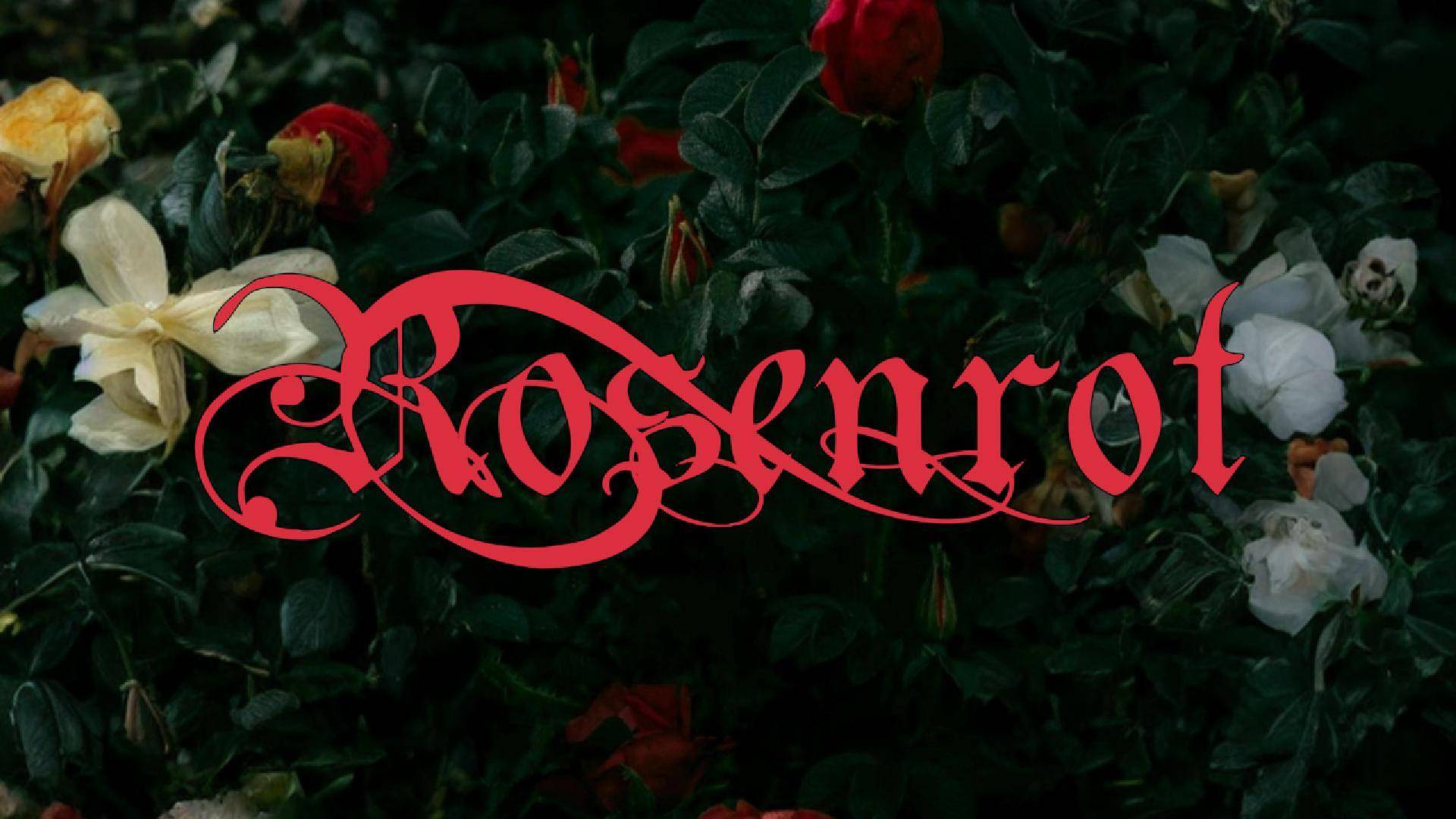 RAMM'Ы cover |Rammstein - Rosenrot | RAMMSTEIN TRIBUTE SHOW 28.09.2024