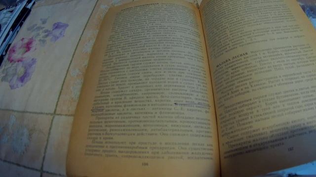 13 04 2020г дача - рассада