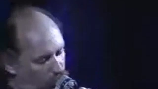Крик птицы. Мулявин