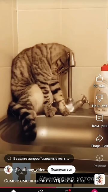 me nravitcq