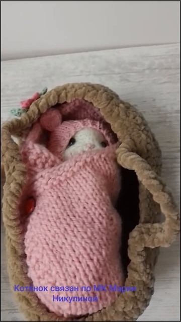 Спящий котёнок связан спицами .