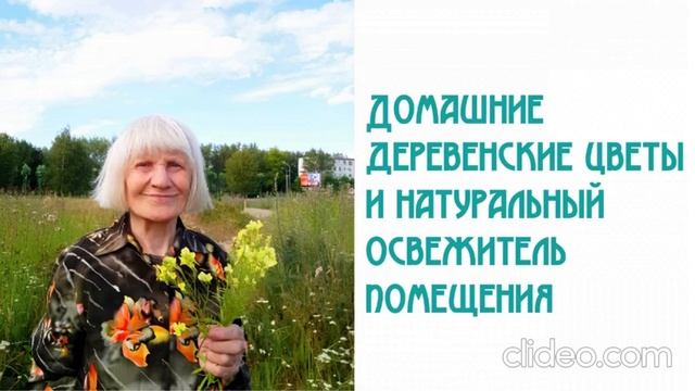 Деревенские домашние цветы и натуральный освежитель помещения