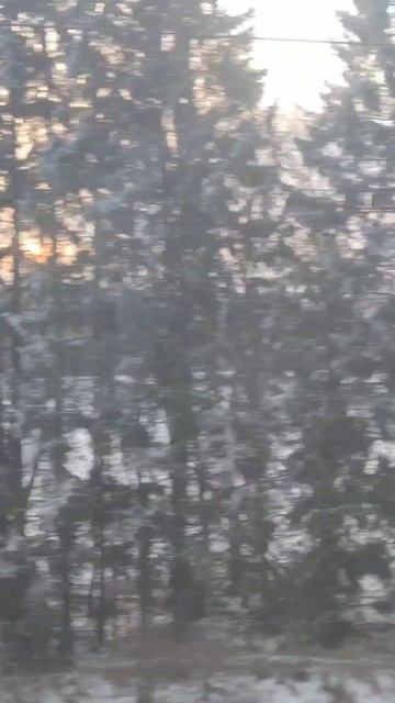 Доброе утро, страна