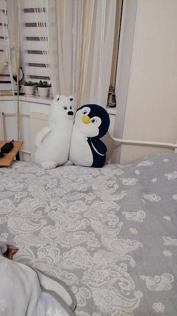 VID_20250214_190242.mp4