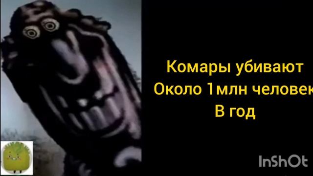 самые жуткие факты