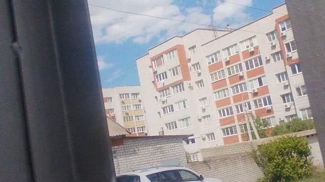 Ворона и воробьи в переулке.