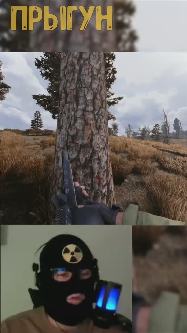 Зомби ПРЫГУН GAMMA 0.9.3.1 #anomaly #stalkergamma #stalkeranomaly #gamma #stalker