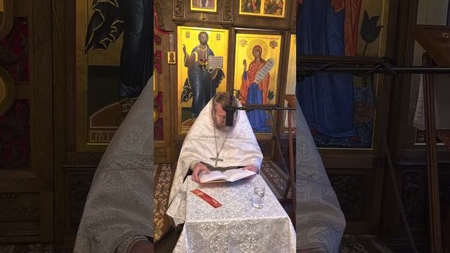 ИСЦЕЛЕНИЕ СЛЕПОГО У ДОРОГИ (Лк.18,35-43). Протоиерей Олег Стеняев
