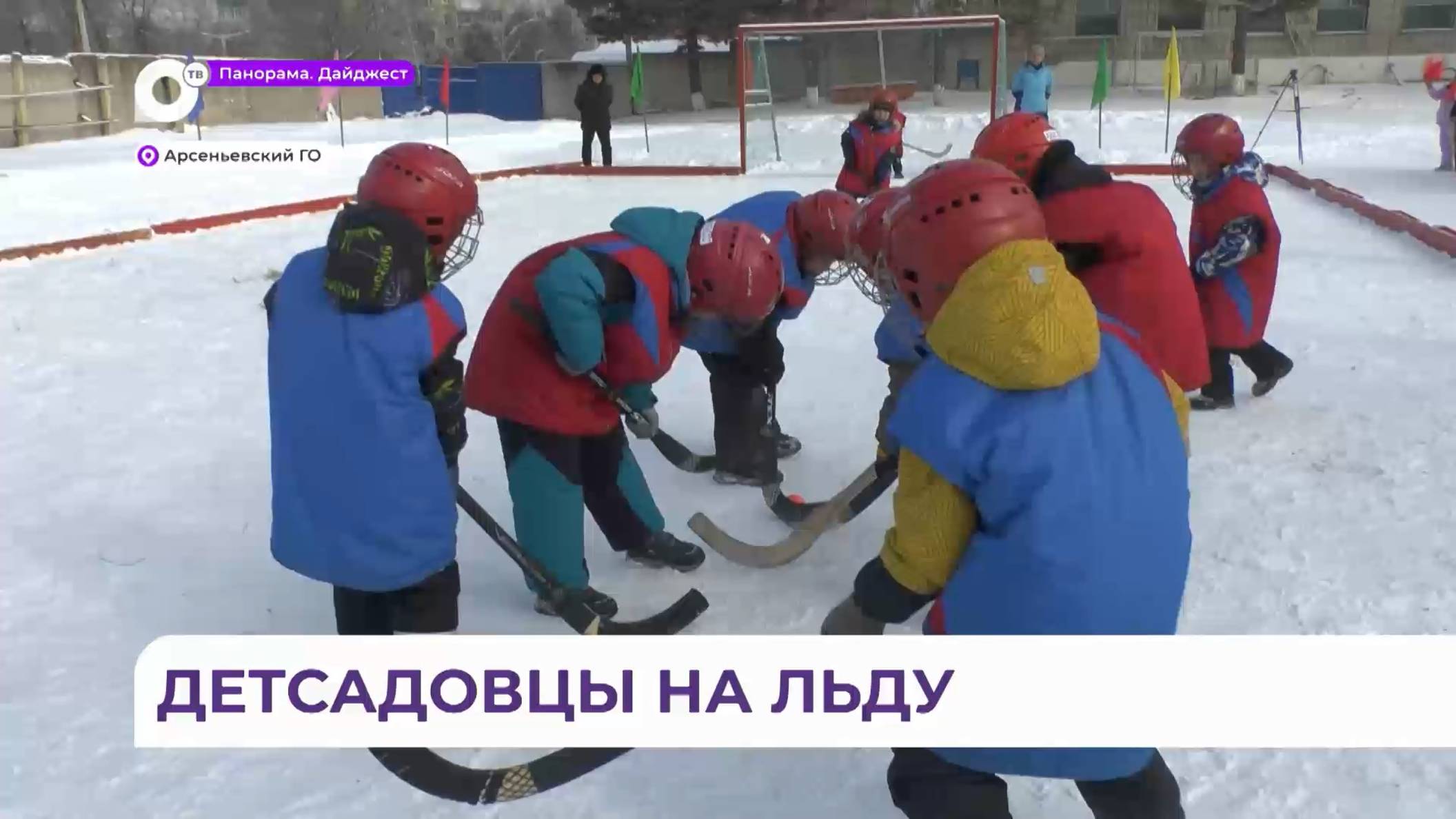 Соревнования по хоккею с мячом среди дошколят прошли в Арсеньеве