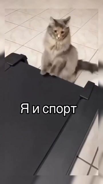 Немного спорта вам в ленту😅