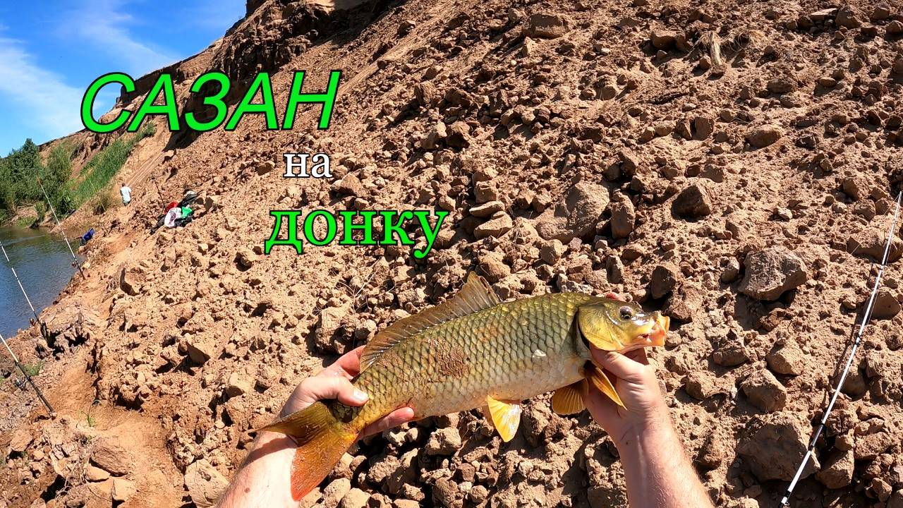 Ловля САЗАНА на донки. Беспилотники "камикадзе" пролетают над головой.