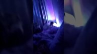 Stantoff2 топ