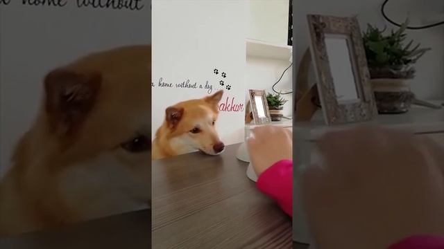 в погоне за наживой