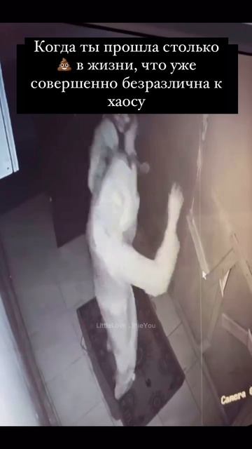 Как начался этап нового года