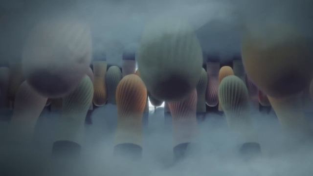 【official】iroha zen Product Video