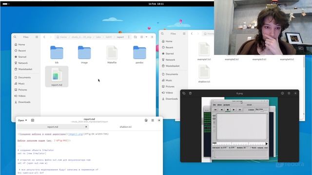 Лабораторная работа №1. NS-2. Отчет