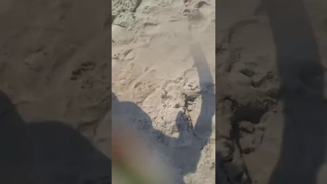 24 часа на море