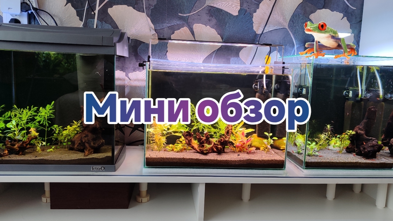 Мини обзор кубиков