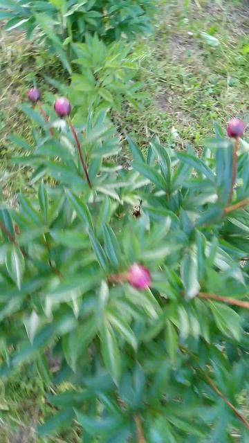 VID_20210612_201551