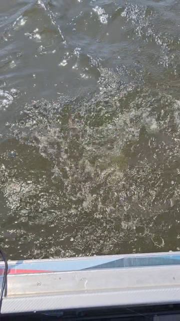 Рыбалка с гидом Spinningist63 в Самаре https://spinningist63.ru