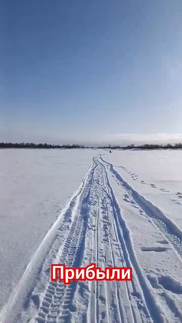 прибыли #зимняяловлярыбы