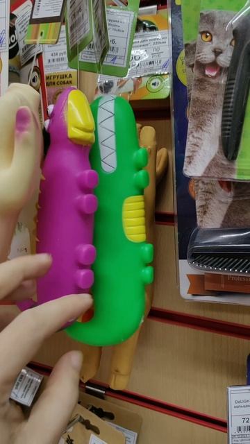 Фрагмент музыкального концерта в Зоомагазине