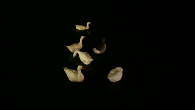 Леонид Федоров - Землекоп