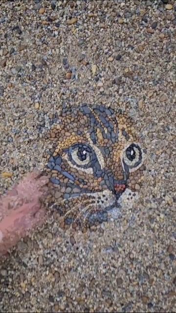 Рисунок кота из камушек 😍