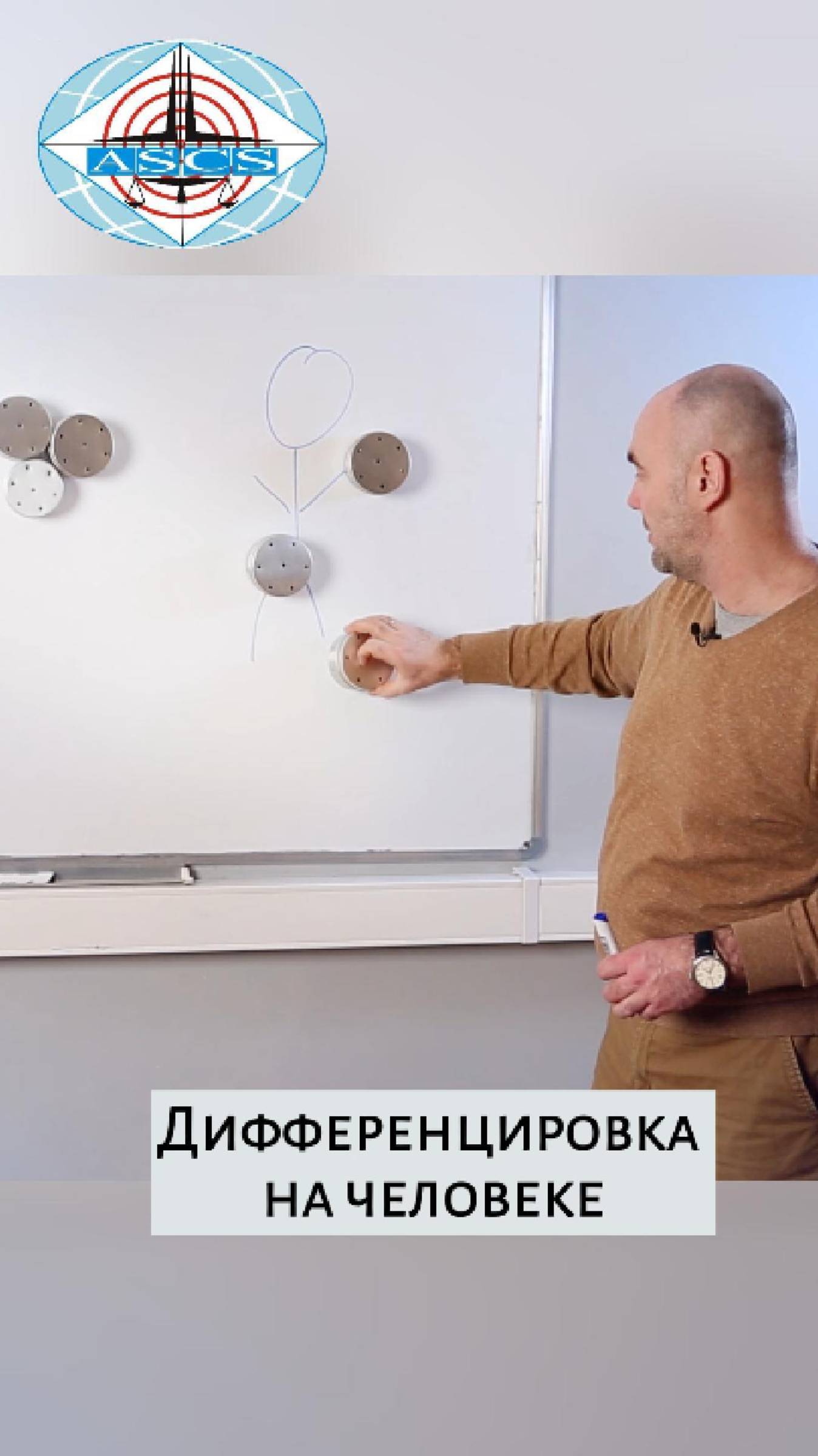 Дифференцировка на человеке