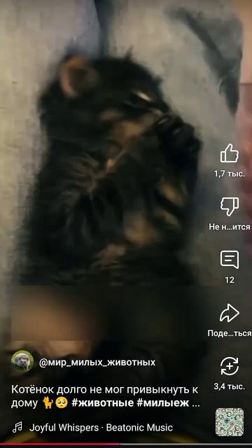 1000002663.mp4