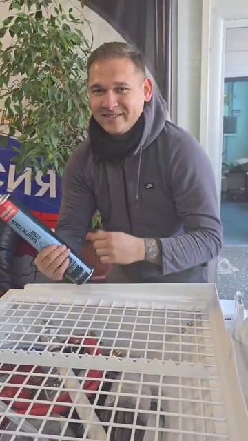 Признание на 14.02  в любви!