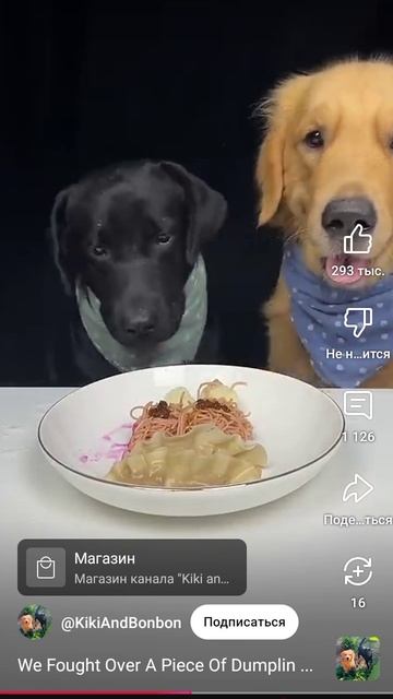 1000002671.mp4