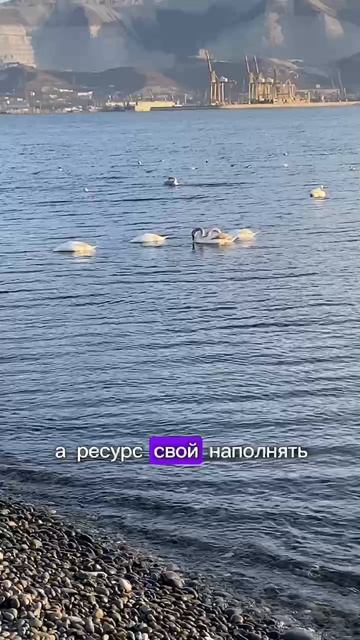 о важном для тебя🙌