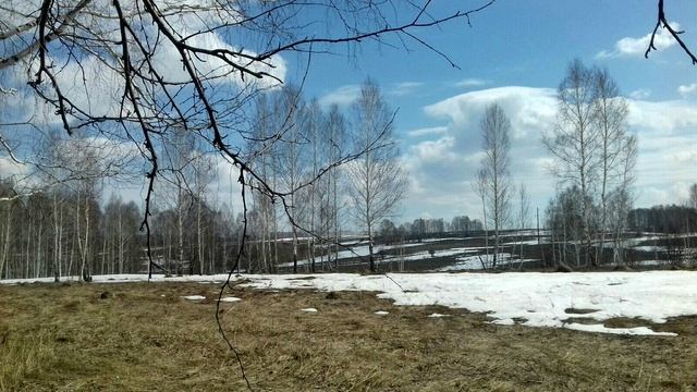 Троицкое , Алтай весной