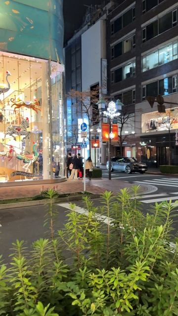 Ginza Tokyo #tokyo #ginza #japan #japanese #shorts