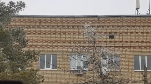 Поликлиника улица Павлова