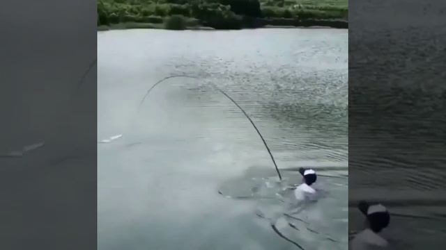 когда не по зубам