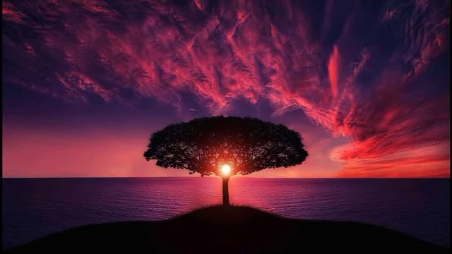 Calm Music I Study, Work, Sleep, Meditation, Chill