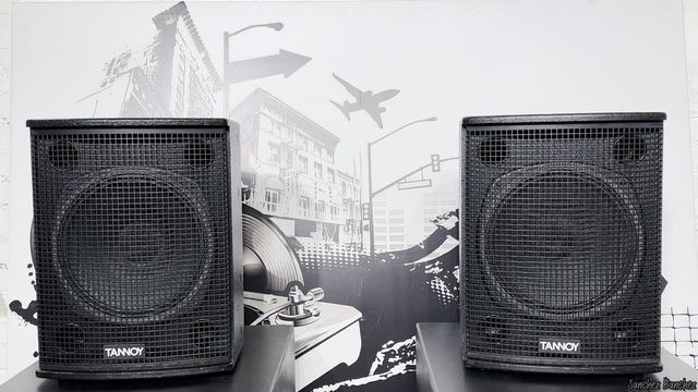 Обзор колонок TANNOY V 12