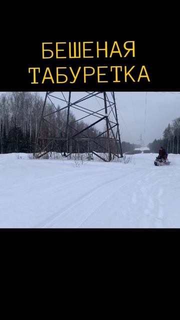 В ЛЕСУ ТОЖЕ ЕСТЬ КРУГОВОЕ ДВИЖЕНИЕ😂😂😂